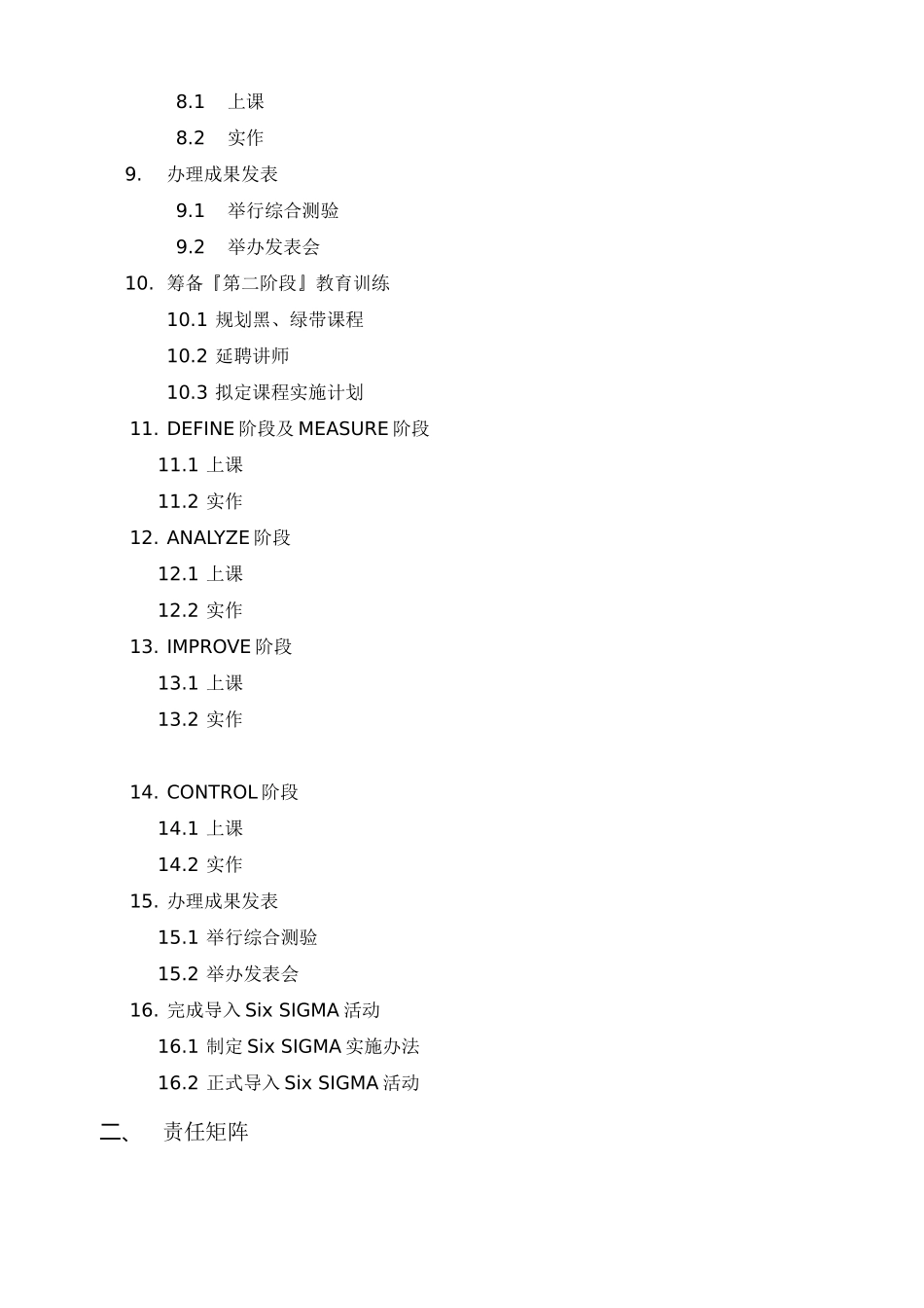 Six SIGMA导入项目计划_第2页