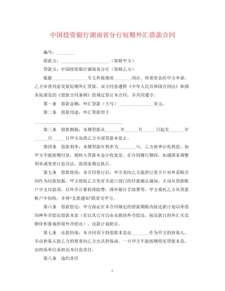 中国投资银行湖南省分行短期外汇借款合同