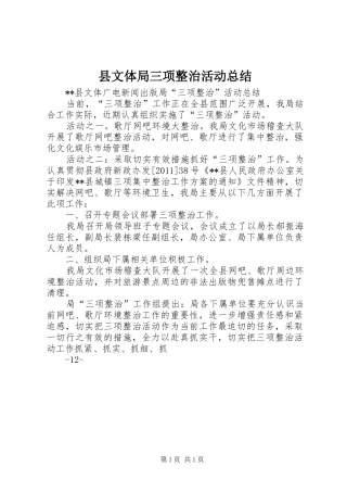 县文体局三项整治活动总结