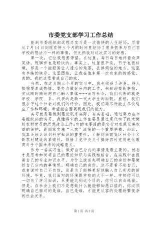 市委党支部学习工作总结