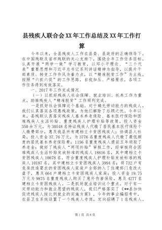 县残疾人联合会XX年工作总结及XX年工作打算