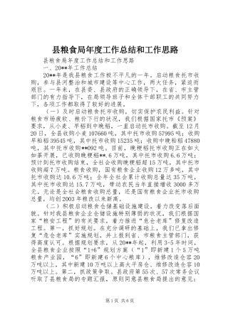 县粮食局年度工作总结和工作思路