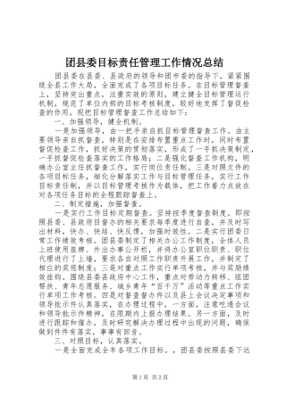 团县委目标责任管理工作情况总结