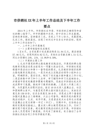 市供销社XX年上半年工作总结及下半年工作要点