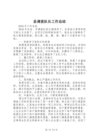 县调查队长工作总结