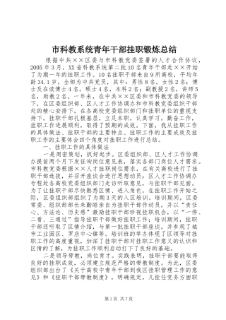 市科教系统青年干部挂职锻炼总结
