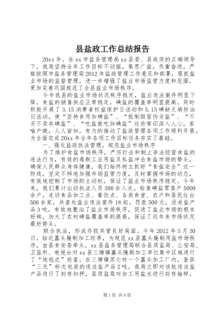 县盐政工作总结报告