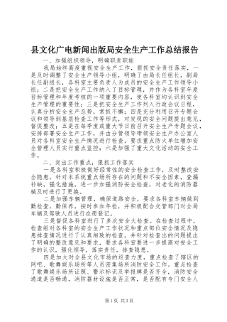 县文化广电新闻出版局安全生产工作总结报告