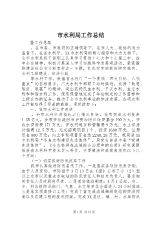 市水利局工作总结