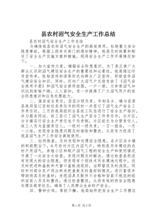 县农村沼气安全生产工作总结