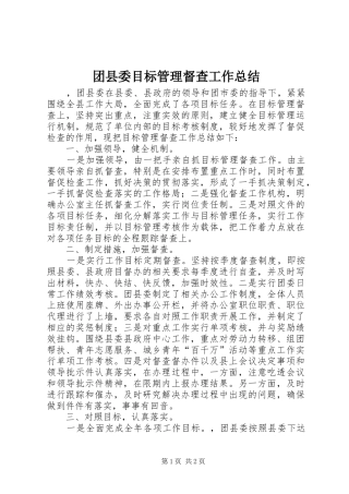 团县委目标管理督查工作总结