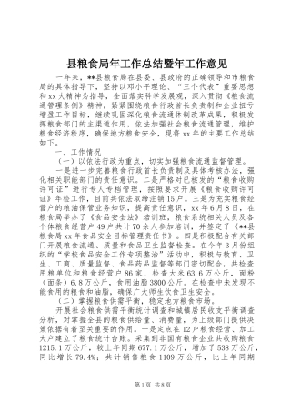 县粮食局年工作总结暨年工作意见