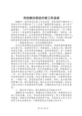 市法制办依法行政工作总结