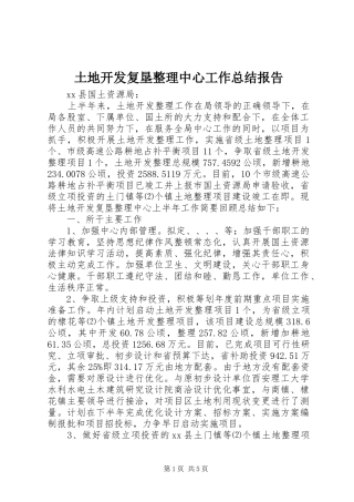 土地开发复垦整理中心工作总结报告