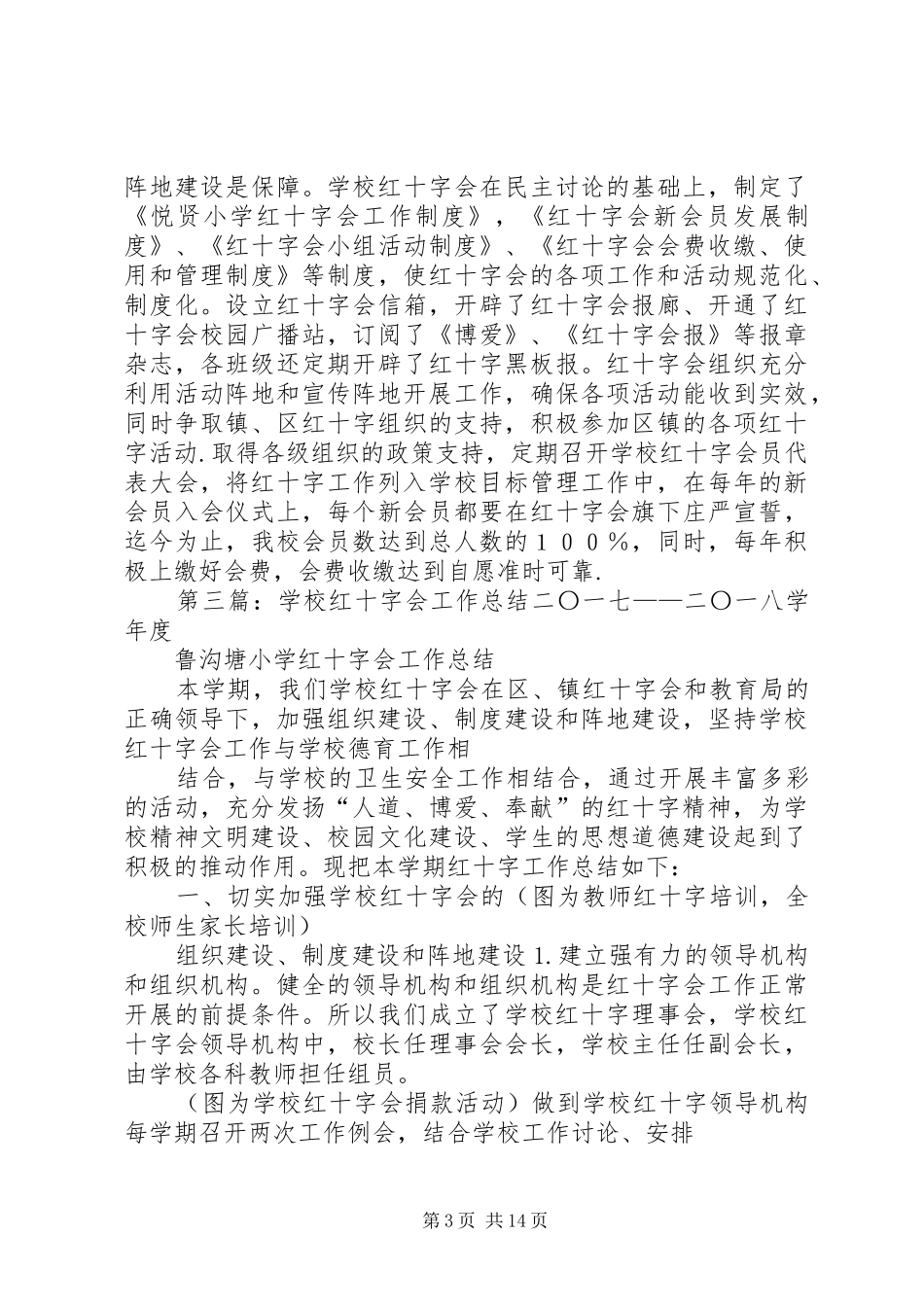 学校红十字会工作总结[模版]_第3页