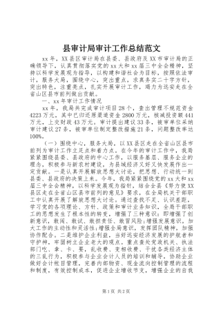 县审计局审计工作总结范文