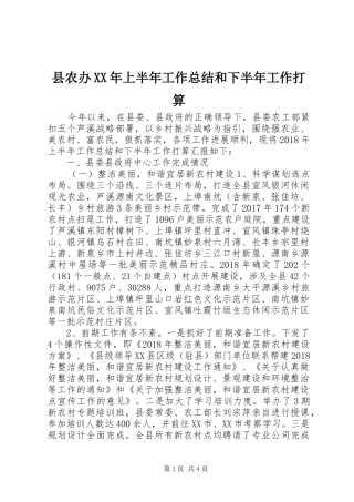 县农办XX年上半年工作总结和下半年工作打算
