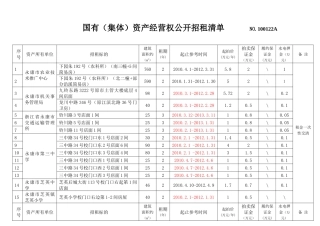 国有（集体）资产经营权公开招租清单NO