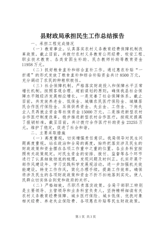 县财政局承担民生工作总结报告