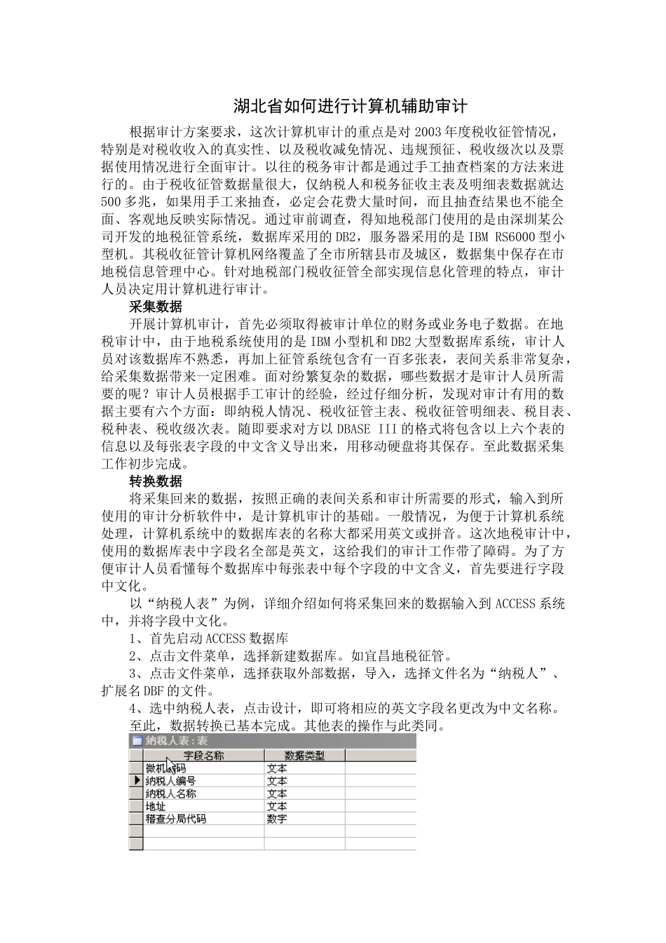 湖北省如何进行计算机辅助审计_第1页
