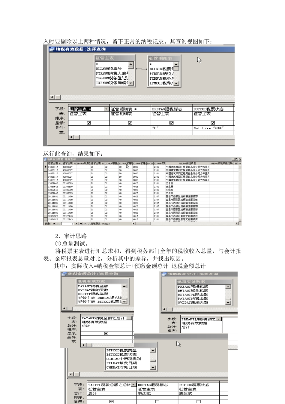 湖北省如何进行计算机辅助审计_第3页