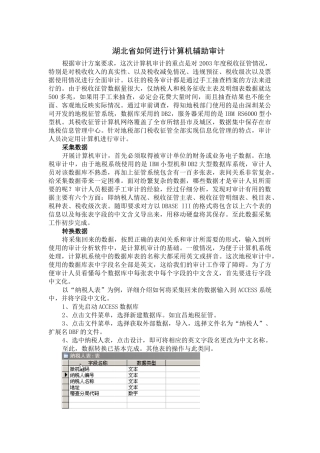 湖北省如何进行计算机辅助审计