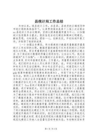 县统计局工作总结