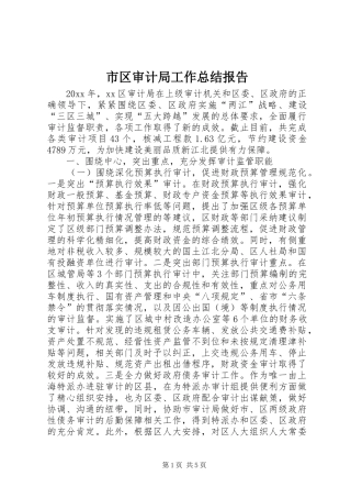 市区审计局工作总结报告