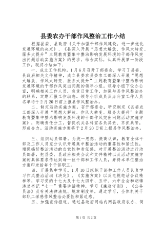 县委农办干部作风整治工作小结