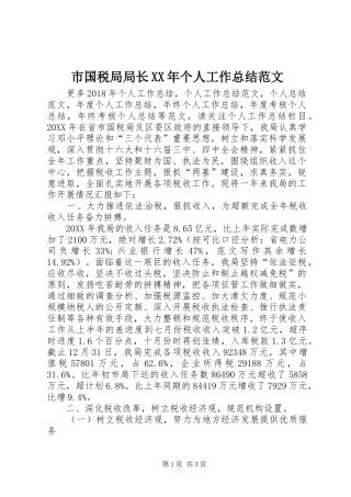 市国税局局长XX年个人工作总结范文