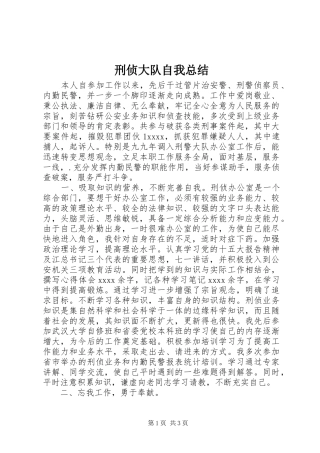 刑侦大队自我总结