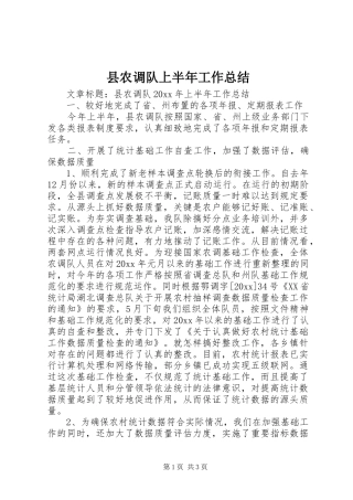 县农调队上半年工作总结