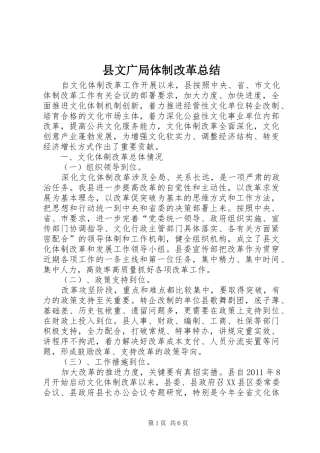 县文广局体制改革总结