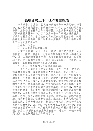 县统计局上半年工作总结报告
