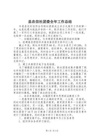县农信社团委全年工作总结