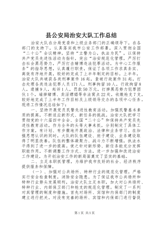 县公安局治安大队工作总结