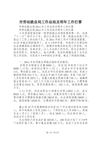 市劳动就业局工作总结及明年工作打算