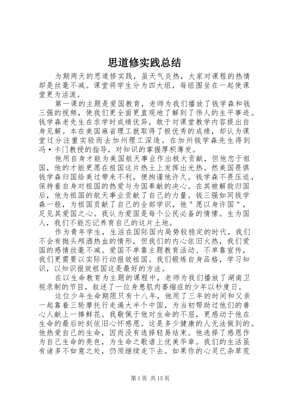 思道修实践总结_第1页