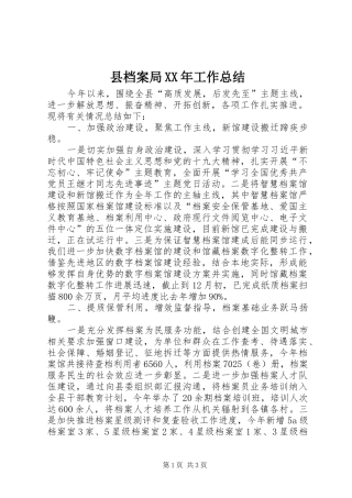 县档案局XX年工作总结