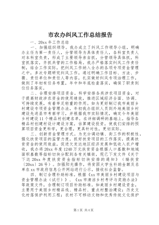 市农办纠风工作总结报告