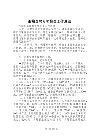 市稽查局专项检查工作总结
