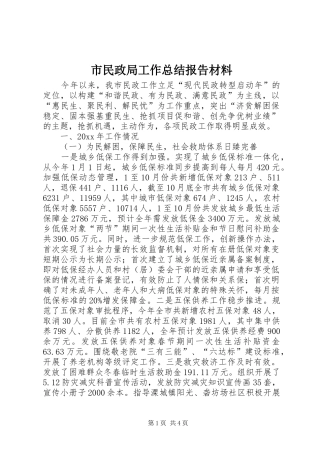 市民政局工作总结报告材料