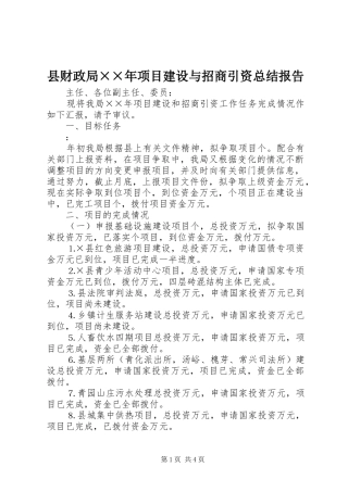 县财政局××年项目建设与招商引资总结报告
