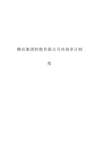 横店集团控股有限公司内部审计制度