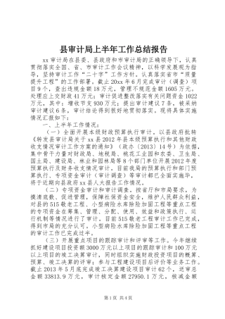县审计局上半年工作总结报告