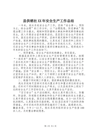 县供销社XX年安全生产工作总结