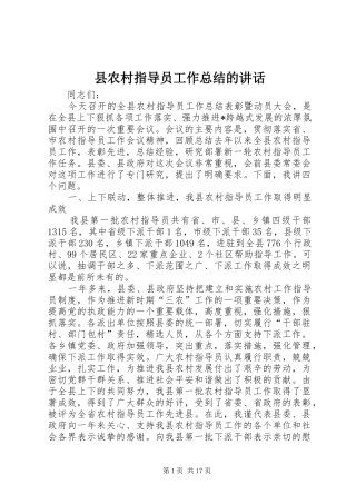 县农村指导员工作总结的讲话