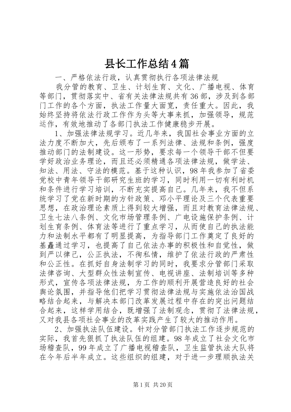 县长工作总结4篇_第1页