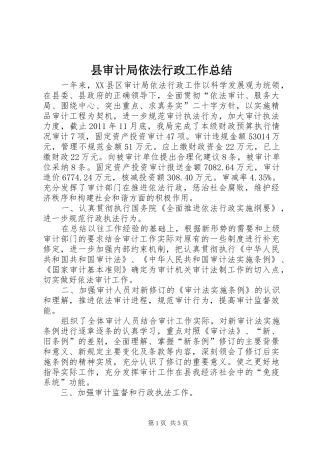 县审计局依法行政工作总结