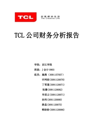 TCL公司财务分析报告111